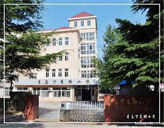 青岛学校世界杯48队赛制规则系统，宁夏路小学项目