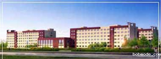 青岛大型工程世界杯48队赛制规则系统，胶州软控项目