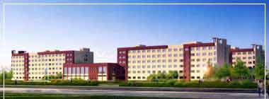 青岛大型工程世界杯48队赛制规则系统，胶州软控项目