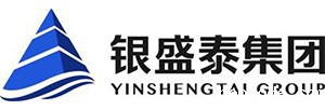 银盛泰集团