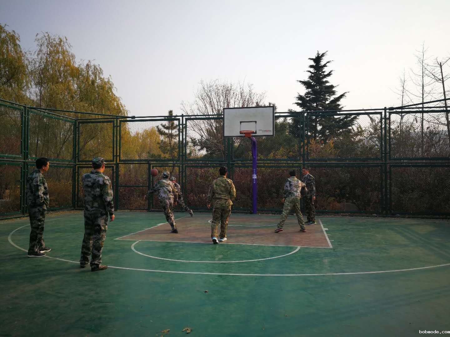 世界杯在线直播丰富多彩的文化生活